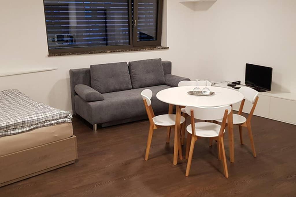 Suite With Back Garden Karlovy Vary Bagian luar foto