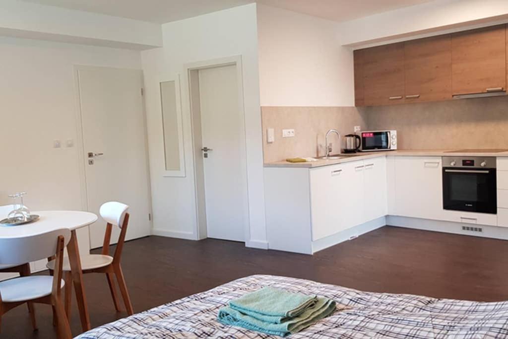 Suite With Back Garden Karlovy Vary Bagian luar foto